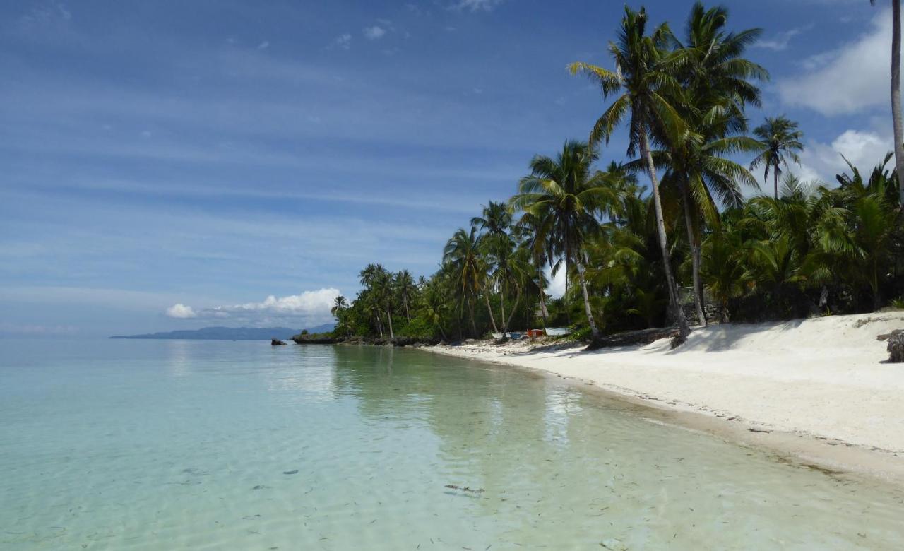 Island View Beachfront Resort Anda  Exterior foto